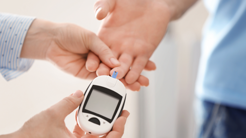 Shutterstock 247460536 0